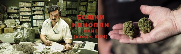 гидропоника Пересвет
