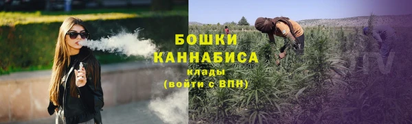 мяу мяу мука Пестово