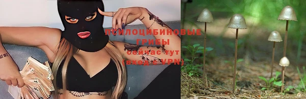 гидропоника Пересвет
