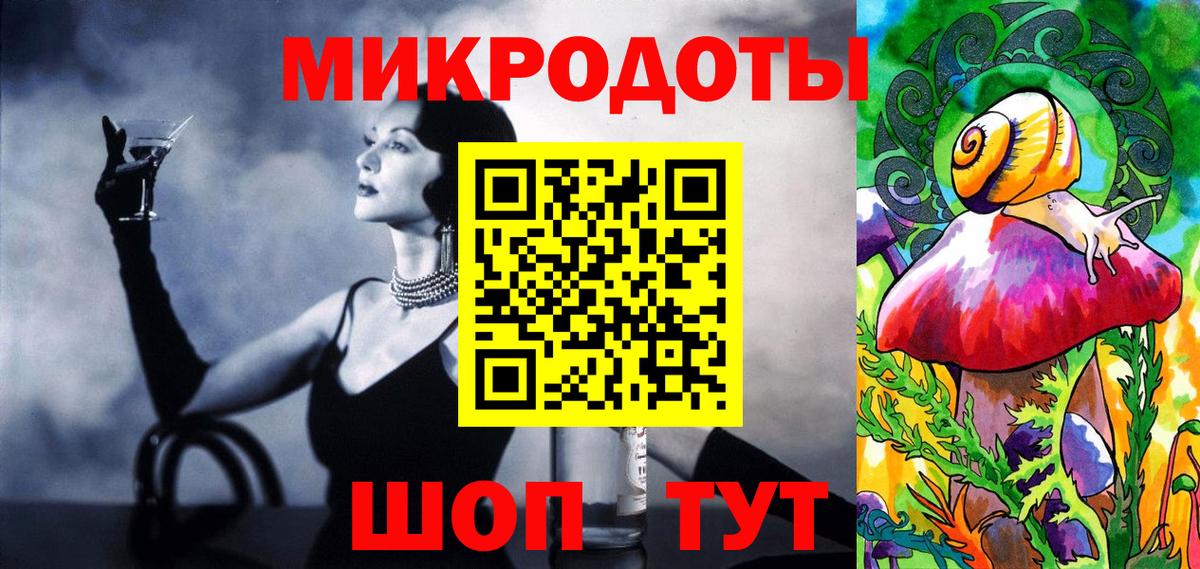 Псилоцибиновые грибы Psilocybe Бахчисарай